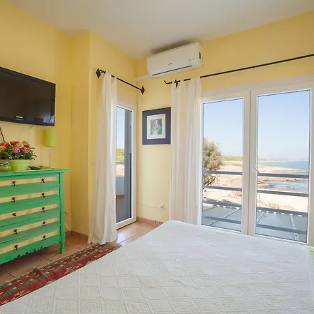 Solidago Chalet *