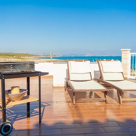Solidago Chalet *